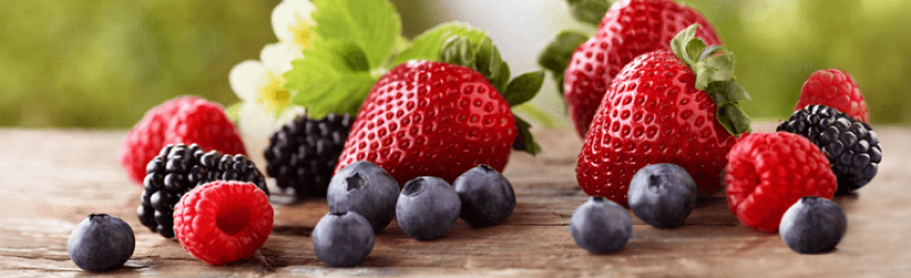 1.0_OurBerries_header_01